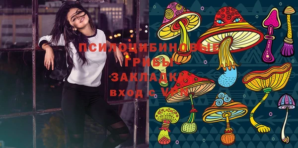дживик Баксан